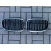 Решетка радиатора на капоте правая (ноздри) BMW X5 E70 07-13 купить в Киеве