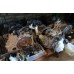 АКПП, в сборе, 2.4 gdi, рестайл Hyundai Sonata 10-14 YF, 450003BKN0