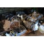АКПП CVT в сборе Jeep Compas 11-14 USA RL000750AG купить на разборке в Киеве в Одессе в Виннице отправляем в другие города