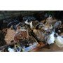 АКПП CVT в сборе Jeep Compas 11-14 USA RL000750AG купить на разборке в Киеве в Одессе в Виннице отправляем в другие города