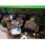 АКПП в сборе 2.4 Jeep Patriot 14-16 США RL010997AE купить на разборке в Киеве в Одессе в Виннице отправляем в другие города