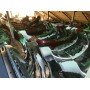 Бампер задний голый Range Rover Evoque L538 11-18 LR034458 LR036708 LR048694 LR074960 купить на разборке в Киеве в Одессе в Запорожье в Харькове в Ровно в Виннице в Днепре