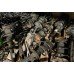 Стойка амортизатора передняя правая в сборе R17 Toyota Avalon 12-18 USA 4851009898, 48510-09898 купить на разборке в Киеве в Одессе в Виннице