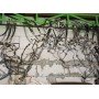 Шланг высокого давления ГУР VW Jetta 10-14 USA 2.5 5C0422893AE 5C0-422-893-AE купить на разборке в Киеве в Одессе в Виннице отправляем в другие города Шланг высокого давления ГУР VW Jetta 10-14 USA 2.5 5C0422893AE 5C0-422-893-AE купить на разборке в Киеве в Одессе в Виннице отправляем в другие города