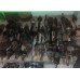 Привод полуось перед правая VW Jetta 10-14 USA 2.0 бенз АКПП 1K0407272EF, 1K0-407-272-EF купить на разборке в Киеве отправляем в другие города