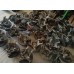 Ступица передняя левая VW Jetta 14-17 USA 5K0498621, 5K0-498-621 купить на разборке в Киеве в Одессе в Виннице