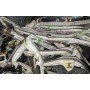 Подушка безопасности airbag боковая шторка правая VW Passat b8 16-19 NMS USA 561880742C 561-880-742-C купить на разборке в Киеве в Одессе в Виннице отправляем в другие города