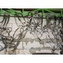 Трубка кондиционера радиатор-компрессор VW Passat b8 USA 1.8 TSI 16-19 NMS 5C0820721BJ 5C0-820-721-BJ купить на разборке в Киеве в Одессе в Виннице отправляем в другие города