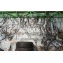 Трубка кондиционера компрессор-печка VW Passat b8 USA 1.8 TSI 16-19 NMS 561820743H 561-820-743-H купить на разборке в Киеве в Одессе в Виннице отправляем в другие города Трубка кондиционера компрессор-печка VW Passat b8 USA 1.8 TSI 16-19 NMS 561820743H 561-820-743-H купить на разборке в Киеве в Одессе в Виннице отправляем в другие города