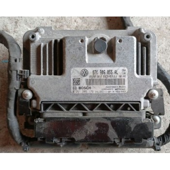 Блок управления компьютер ECU двигатель 2.5 VW Passat b7 07K906055AL 07K-906-055-AL купить на разборке в Киеве в Одессе в Виннице отправляем в другие города