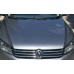 Капот серый LD7X голый VW Passat B7 USA 561823031E, 561-823-031-E купить на разборке в Киеве в Одессе в Виннице