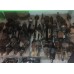 Привод полуось перед левая VW Passat b7 USA 1.8T 561407271AA, 561-407-271-AA купить на разборке в Киеве отправляем в другие города