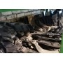 Рычаг нижний передний правый VW Passat B7 11-15 USA 561407152C 561-407-152-C купить на разборке в Киеве в Одессе в Виннице отправляем в другие города