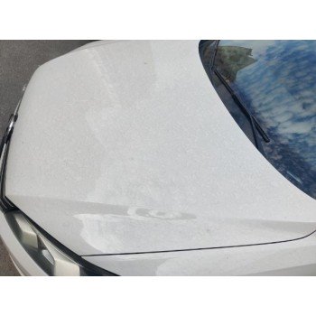 Капот LB9A белый голый VW Passat B7 USA 561823031E 561-823-031-E купить на разборке в Киеве в Одессе в Виннице отправляем в другие города Капот LB9A белый голый VW Passat B7 USA 561823031E 561-823-031-E купить на разборке в Киеве в Одессе в Виннице отправляем в другие города