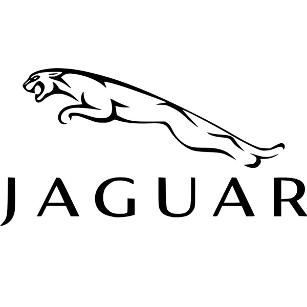 Запчасти JAGUAR